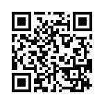 09-0513-10T QRCode