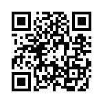 09110013011 QRCode