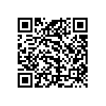 101C133T200DE2B QRCode