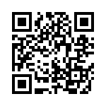 102S42E3R9CV4E QRCode