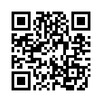 132365-10 QRCode