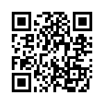 133017-2 QRCode