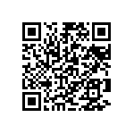 13AL-060-0030-X QRCode