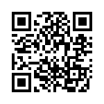 1N5383BG QRCode