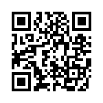 2063-12-01RP2 QRCode