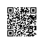 2225J0250335KXR QRCode