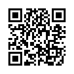 29L334C QRCode