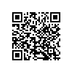 300DP1R2BLKM1QE QRCode