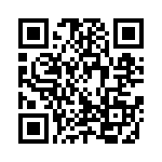 300X11089X QRCode