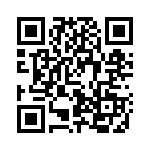 63RS256 QRCode