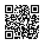 653P20006A3T QRCode