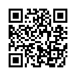 653V17336A2T QRCode