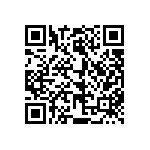 813-22-022-30-002101 QRCode