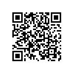 B41231B8688M000 QRCode