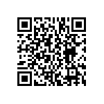 BCS-127-L-S-DE-026 QRCode