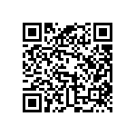 BKT-141-01-LM-V QRCode