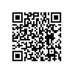 BKT-163-01-F-V-P-TR QRCode