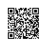 DW-41-09-F-S-395 QRCode