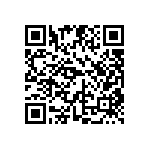 EW-04-13-F-D-787 QRCode