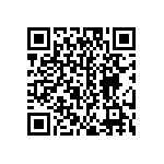 EW-04-13-S-S-875 QRCode