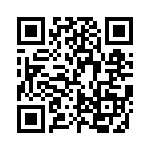 FCE17E09AD290 QRCode