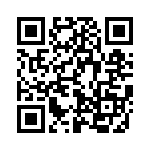 L17DM53745208 QRCode