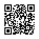 P0599NLT QRCode