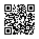 P95020ZDNQG8 QRCode