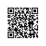 RG2012P-163-B-T1 QRCode