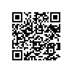 RJMG163128101NR QRCode