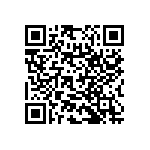 RNC55H1013BSBSL QRCode