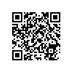 RNC55J3053BSBSL QRCode