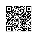 RNCF2512DTE13K7 QRCode