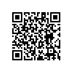 RT1206CRC07953RL QRCode