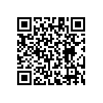 RT1206CRD0740K2L QRCode