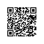 RT1206DRD07287KL QRCode