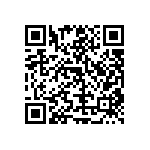 RT1206WRD0761R9L QRCode