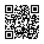 RT9161A-33GG QRCode