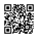 RT9521GQW QRCode