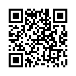 RT9625BZQW QRCode