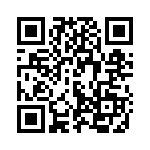 U13 QRCode