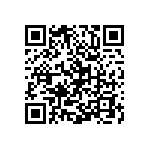 Y16295K10000T9W QRCode