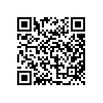 YB26WSKG01-5D12-JD QRCode