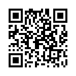 09153000306 QRCode