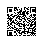 1111J2K00130GQT QRCode