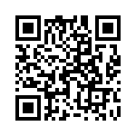 17041542203 QRCode