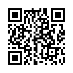 17211101101 QRCode