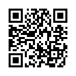 17241102101 QRCode