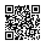 19300060297 QRCode