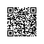 2225Y3K00391KCR QRCode